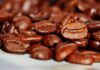 Kawa kokosowa – test egzotycznych smaków