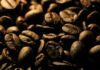 Recenzja kawy ziarnistej Etno Cafe – która mieszanka wygrywa?