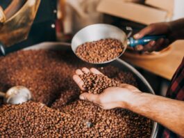 Francuska kawa speciality, czym różni się od włoskiego espresso i dlaczego zyskuje fanów? Francuska kawa speciality, selekcja ziaren premium z francuskiej palarni